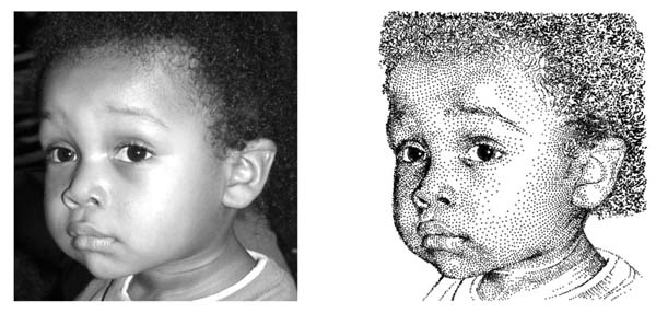 jairdan-draw